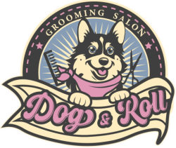 Logo Dog & Roll - Profesjonalny groomer Katowice